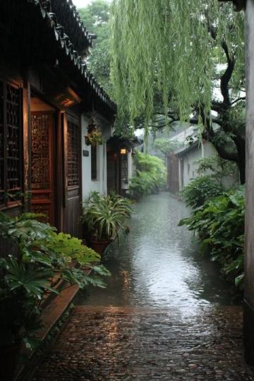 顺德一日游之旅:精选亲子景点