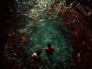 揭秘威海隐藏赶海地,丰富海洋生物等你探索!#威海旅游攻略# #海边赶海体验#