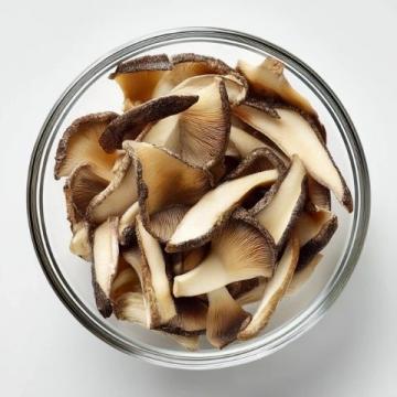 菌类食物安全注意事项