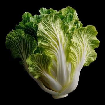 大骨棒炖酸菜(春节必吃美食)