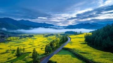 赣州双园之旅:邂逅自然与美好