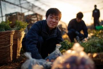 南沙生活体验:百元购大袋新鲜蔬菜不再是难题