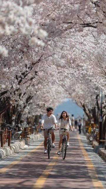 2025年必去的五大春季旅行胜地,跟随榜单开启新体验