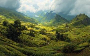 夏日云南之旅:花茶与美景的完美邂逅旅行指南