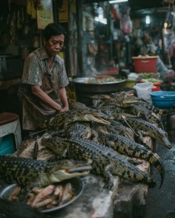 成都鱼贩与城管的小风波:民生艰难还是城市管理不善?