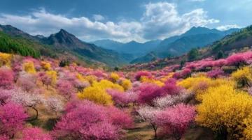走进春暖花开的闽南美景