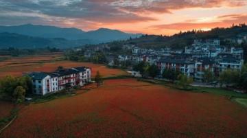 游访杏花村:品美酒尝佳肴的乐趣之旅