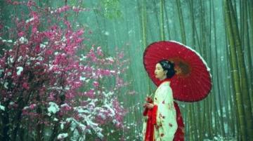鞍山千山梨花节:非遗与美食盛宴,领略地域风情