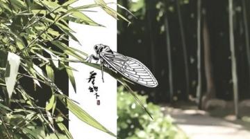 乡村夏夜捕蝉记:舌尖美味与童年回忆