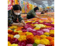 春节途经鸡街收费站：对红河人而言，这里充满回忆与乡愁