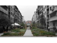 为更好的城市生活习得文明常识