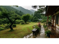 亚布力夏日游记：半山别院里的静谧时光