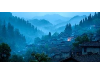 揭秘浙江松阳县陈家铺村600年古韵：自驾指南、必打卡景点与美食之旅