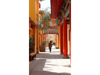 青岛之旅:精彩三日游指南