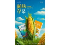 如何制作美味双皮奶，广东经典甜品教学指南