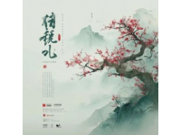 黔行诗画间解锁公园省的百变魅力，自然与文化共舞