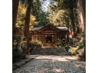 日本京都枫叶之旅第三天（上）