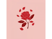 玫瑰创业与生意现如今玫瑰