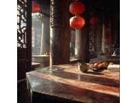 广州老街深处，藏了一家超正宗的粤西小店！地道梅麓菜，吃过都说好