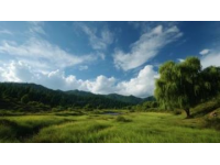 土地性质划分(土地性质常识)