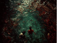 揭秘威海隐藏赶海地，丰富海洋生物等你探索！#威海旅游攻略# #海边赶海体验#