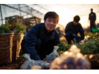 南沙生活体验：百元购大袋新鲜蔬菜不再是难题