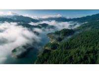 温州楠溪江景区门票费用是多少？