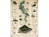 十个关键茶艺知识要点详解