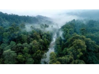 湖北省鄂州市西山风景区：自然美景与历史文化的完美融合
