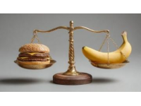 懂美食与不懂美食的人差距甚大