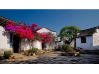 丽江：融合古韵与自然的魅力旅行胜地