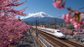 日本东北13日赏樱精华游记