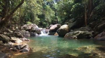 新安江畔三潭枇杷:山水间的甜蜜滋味