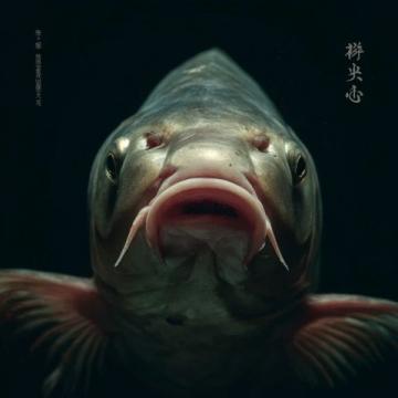泰热门节目使用魔鬼鱼引发争议,制片人声明回应质疑