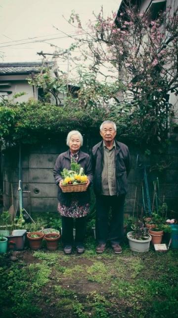 小爱好带来的乐趣与生活园艺的常识.