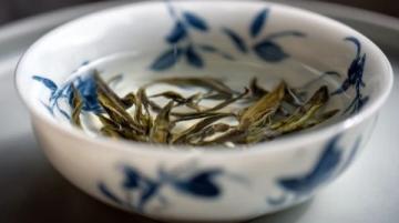 传承二十载，朱雀打边炉：粤式药膳原汤锅底秘制再现上海