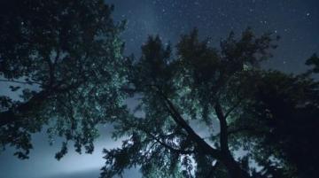 暗香满天,夜色更深