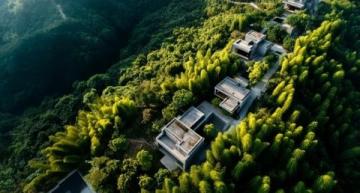 新风百景图:寻找头条生活家