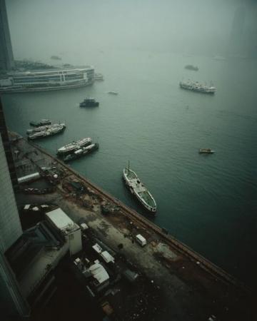 香港鼠患严峻:每捉一只老鼠成本约10880元,引发热议