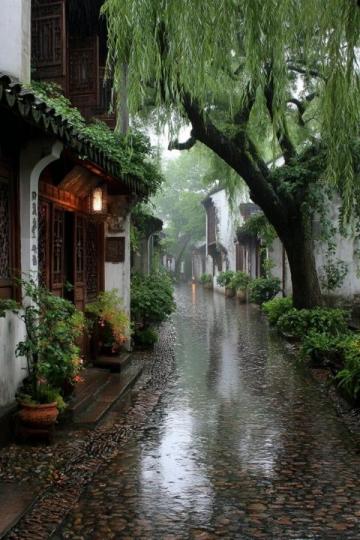 苏州3天6晚游玩攻略,带你畅游园林之美