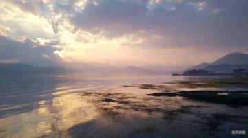 东江岸畔的放生盛景：台江边的如画风光