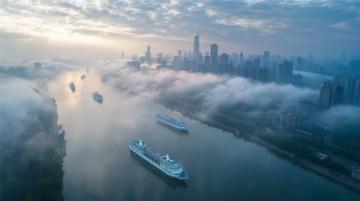广东多地空气质量显著改善:告别重度污染,全面恢复优良水平