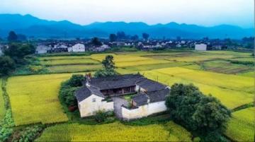樊俊的高山农场:从药材种植到生态养殖的致富之路