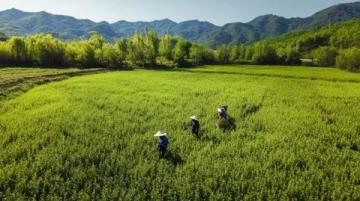 四川吉隆达集团与川农营养所学贯通 走基层微量元素发展