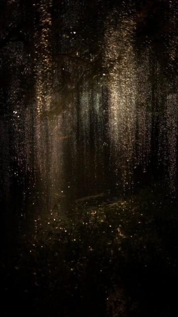 夜幕下的雪野湖:烧烤红酒配烟花的美妙夜晚体验