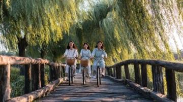 五一游衢州:沉浸南孔文化之旅,探寻千年古城魅力
