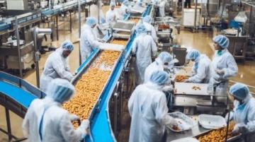 灵活赚钱新选择:兰溪鸡子馃培训受年轻人追捧