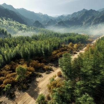 西双版纳深度游全攻略:秘境美景、美食地图与当地玩法揭秘