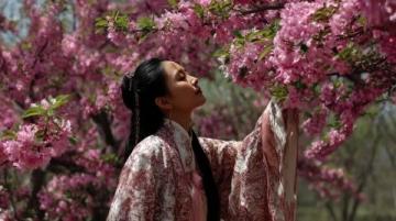 逃离都市喧嚣:探寻杭州西溪湿地里的隐世桃源——十里芳菲度假村