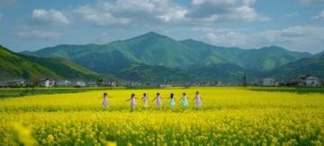 江南秘境:藏于古村中的油菜花海等你来探秘
